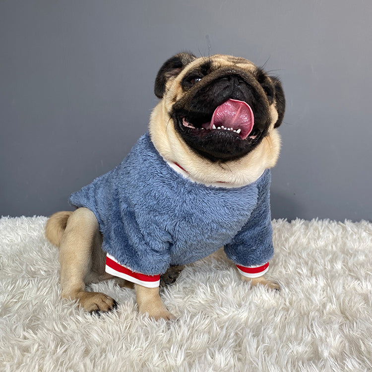 Keep Your Furry Friend Cozy with Our Stylish Pet Sweater